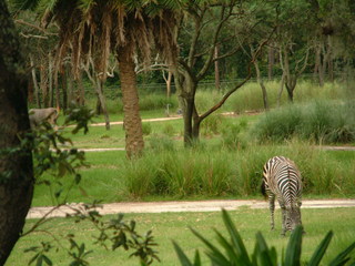 Filename=DSCF2294.JPG
Filesize=1213KiB
Dimensions=2048x1536
Date added=Sep 28, 2019 DSCF2294.JPG