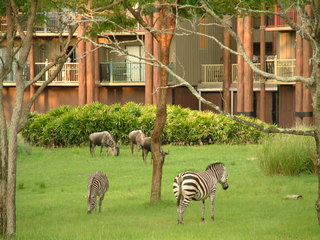 Filename=DSCF2296.JPG
Filesize=1209KiB
Dimensions=2048x1536
Date added=Sep 28, 2019 DSCF2296.JPG