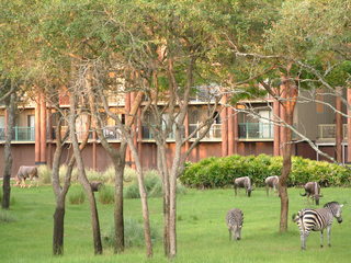 Filename=DSCF2297.JPG
Filesize=1211KiB
Dimensions=2048x1536
Date added=Sep 28, 2019 DSCF2297.JPG