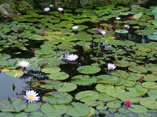 Filename=DSCF2446.JPG
Filesize=1260KiB
Dimensions=2048x1536
Date added=Sep 27, 2019 DSCF2446.JPG