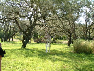 Filename=DSCF2454.JPG
Filesize=1224KiB
Dimensions=2048x1536
Date added=Sep 27, 2019 DSCF2454.JPG