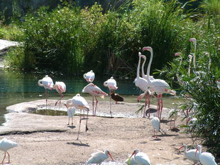 Filename=DSCF2458.JPG
Filesize=1234KiB
Dimensions=2048x1536
Date added=Sep 27, 2019 DSCF2458.JPG