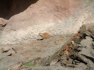 Filename=DSCF2463.JPG
Filesize=1213KiB
Dimensions=2048x1536
Date added=Sep 27, 2019 DSCF2463.JPG