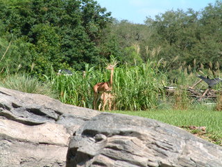 Filename=DSCF2464.JPG
Filesize=1240KiB
Dimensions=2048x1536
Date added=Sep 27, 2019 DSCF2464.JPG