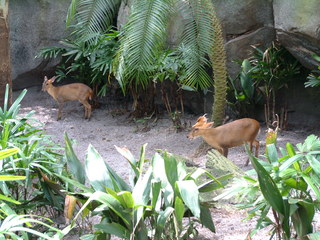 Filename=DSCF2513.JPG
Filesize=1243KiB
Dimensions=2048x1536
Date added=Sep 27, 2019 DSCF2513.JPG