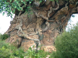 Filename=DSCF2515.JPG
Filesize=1272KiB
Dimensions=2048x1536
Date added=Sep 27, 2019 DSCF2515.JPG