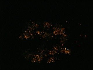 Filename=DSCF2585.JPG
Filesize=1172KiB
Dimensions=2048x1536
Date added=Sep 27, 2019 DSCF2585.JPG