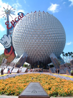 Filename=DSCF2875.JPG
Filesize=1261KiB
Dimensions=1536x2048
Date added=Sep 28, 2019 DSCF2875.JPG