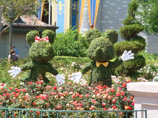 Filename=DSCF2886.JPG
Filesize=1257KiB
Dimensions=2048x1536
Date added=Sep 28, 2019 DSCF2886.JPG