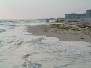 Filename=DSCF2900.JPG
Filesize=269KiB
Dimensions=1280x960
Date added=Sep 27, 2019 DSCF2900.JPG