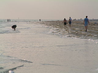 Filename=DSCF2904.JPG
Filesize=276KiB
Dimensions=1280x960
Date added=Sep 27, 2019 DSCF2904.JPG