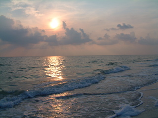 Filename=DSCF2915.JPG
Filesize=1217KiB
Dimensions=2048x1536
Date added=Sep 27, 2019 DSCF2915.JPG