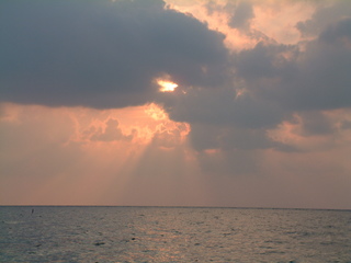 Filename=DSCF2940.JPG
Filesize=1183KiB
Dimensions=2048x1536
Date added=Sep 27, 2019 DSCF2940.JPG