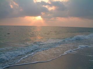 Filename=DSCF2942.JPG
Filesize=1224KiB
Dimensions=2048x1536
Date added=Sep 27, 2019 DSCF2942.JPG