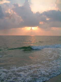 Filename=DSCF2943.JPG
Filesize=1227KiB
Dimensions=1536x2048
Date added=Sep 27, 2019 DSCF2943.JPG