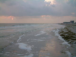 Filename=DSCF2955.JPG
Filesize=1234KiB
Dimensions=2048x1536
Date added=Sep 27, 2019 DSCF2955.JPG