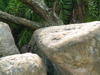 Filename=DSCF2966.JPG
Filesize=1264KiB
Dimensions=2048x1536
Date added=Sep 27, 2019 DSCF2966.JPG