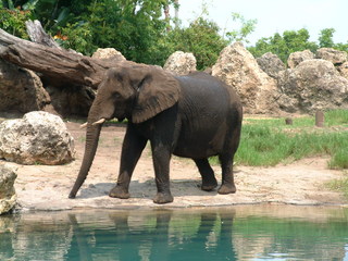 Filename=DSCF2968.JPG
Filesize=1262KiB
Dimensions=2048x1536
Date added=Sep 27, 2019 DSCF2968.JPG