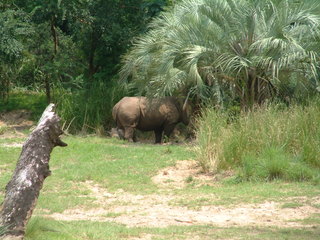 Filename=DSCF2970.JPG
Filesize=1242KiB
Dimensions=2048x1536
Date added=Sep 27, 2019 DSCF2970.JPG