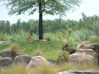 Filename=DSCF2971.JPG
Filesize=1300KiB
Dimensions=2048x1536
Date added=Sep 27, 2019 DSCF2971.JPG