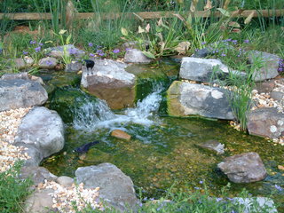 Filename=DSCF3062.JPG
Filesize=1244KiB
Dimensions=2048x1536
Date added=Sep 27, 2019 DSCF3062.JPG