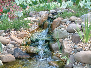 Filename=DSCF3064.JPG
Filesize=1258KiB
Dimensions=2048x1536
Date added=Sep 27, 2019 DSCF3064.JPG