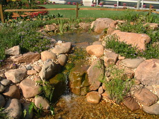 Filename=DSCF3067.JPG
Filesize=1235KiB
Dimensions=2048x1536
Date added=Sep 27, 2019 DSCF3067.JPG