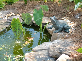 Filename=DSCF3068.JPG
Filesize=1248KiB
Dimensions=2048x1536
Date added=Sep 27, 2019 DSCF3068.JPG