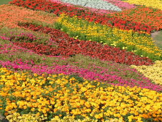 Filename=DSCF3074.JPG
Filesize=1257KiB
Dimensions=2048x1536
Date added=Sep 27, 2019 DSCF3074.JPG