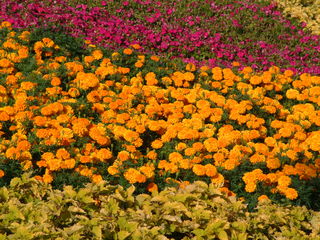 Filename=DSCF3075.JPG
Filesize=1269KiB
Dimensions=2048x1536
Date added=Sep 27, 2019 DSCF3075.JPG