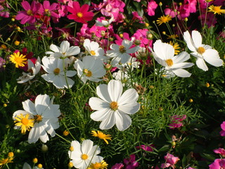 Filename=DSCF3081.JPG
Filesize=1294KiB
Dimensions=2048x1536
Date added=Sep 27, 2019 DSCF3081.JPG