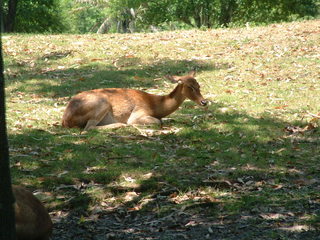 Filename=DSCF3110.JPG
Filesize=1219KiB
Dimensions=2048x1536
Date added=Sep 27, 2019 DSCF3110.JPG