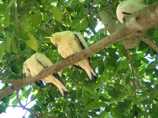 Filename=DSCF3112.JPG
Filesize=1259KiB
Dimensions=2048x1536
Date added=Sep 27, 2019 DSCF3112.JPG