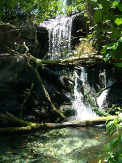 Filename=DSCF3130.JPG
Filesize=1204KiB
Dimensions=1536x2048
Date added=Sep 27, 2019 DSCF3130.JPG