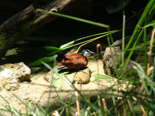 Filename=DSCF3133.JPG
Filesize=1257KiB
Dimensions=2048x1536
Date added=Sep 27, 2019 DSCF3133.JPG