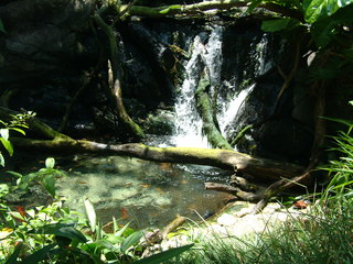 Filename=DSCF3134.JPG
Filesize=1239KiB
Dimensions=2048x1536
Date added=Sep 27, 2019 DSCF3134.JPG