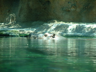 Filename=DSCF3135.JPG
Filesize=1219KiB
Dimensions=2048x1536
Date added=Sep 27, 2019 DSCF3135.JPG