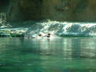 Filename=DSCF3136.JPG
Filesize=1225KiB
Dimensions=2048x1536
Date added=Sep 27, 2019 DSCF3136.JPG