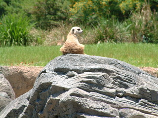 Filename=DSCF3137.JPG
Filesize=1274KiB
Dimensions=2048x1536
Date added=Sep 27, 2019 DSCF3137.JPG