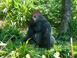 Filename=DSCF3141.JPG
Filesize=1249KiB
Dimensions=2048x1536
Date added=Sep 27, 2019 DSCF3141.JPG