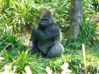 Filename=DSCF3142.JPG
Filesize=1270KiB
Dimensions=2048x1536
Date added=Sep 27, 2019 DSCF3142.JPG