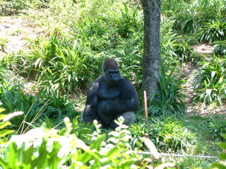 Filename=DSCF3143.JPG
Filesize=1266KiB
Dimensions=2048x1536
Date added=Sep 27, 2019 DSCF3143.JPG