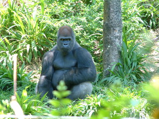 Filename=DSCF3144.JPG
Filesize=1265KiB
Dimensions=2048x1536
Date added=Sep 27, 2019 DSCF3144.JPG