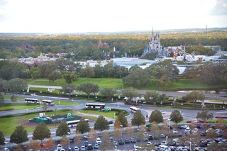 Filename=DSC_6541.jpg
Filesize=12785KiB
Dimensions=7360x4912
Date added=Sep 27, 2019 DSC_6541.jpg