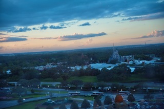 Filename=DSC_6568.jpg
Filesize=8049KiB
Dimensions=7360x4912
Date added=Sep 27, 2019 DSC_6568.jpg