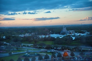 Filename=DSC_6569.jpg
Filesize=9392KiB
Dimensions=7360x4912
Date added=Sep 27, 2019 DSC_6569.jpg