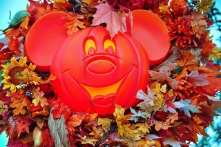 Filename=DSC_6687.jpg
Filesize=17499KiB
Dimensions=7360x4912
Date added=Sep 27, 2019 DSC_6687.jpg