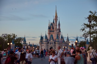 Filename=DSC_6689.jpg
Filesize=7357KiB
Dimensions=7360x4912
Date added=Sep 27, 2019 DSC_6689.jpg