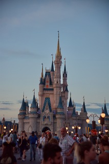 Filename=DSC_6690.jpg
Filesize=6185KiB
Dimensions=4912x7360
Date added=Sep 27, 2019 DSC_6690.jpg