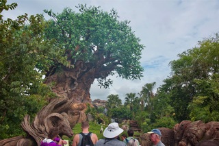 Filename=DSC_6745.jpg
Filesize=10722KiB
Dimensions=7360x4912
Date added=Sep 27, 2019 DSC_6745.jpg